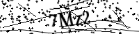 Por favor digite as letras e números abaixo