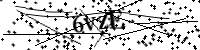 Por favor digite as letras e números abaixo