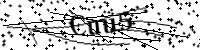 Por favor digite as letras e números abaixo
