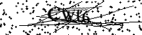 Por favor digite as letras e números abaixo