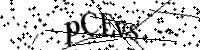 Por favor digite as letras e números abaixo