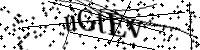 Por favor digite as letras e números abaixo