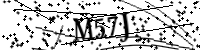 Por favor digite as letras e números abaixo