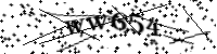 Por favor digite as letras e números abaixo
