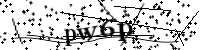 Por favor digite as letras e números abaixo