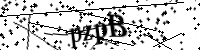 Por favor digite as letras e números abaixo