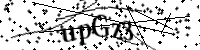 Por favor digite as letras e números abaixo