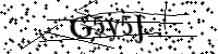 Por favor digite as letras e números abaixo