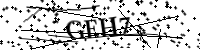 Por favor digite as letras e números abaixo