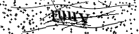 Por favor digite as letras e números abaixo