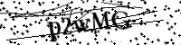 Por favor digite as letras e números abaixo