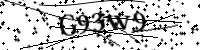 Por favor digite as letras e números abaixo