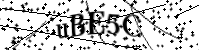 Por favor digite as letras e números abaixo
