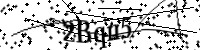 Por favor digite as letras e números abaixo