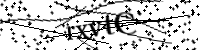 Por favor digite as letras e números abaixo