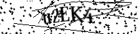 Por favor digite as letras e números abaixo