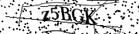Por favor digite as letras e números abaixo