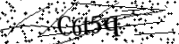 Por favor digite as letras e números abaixo