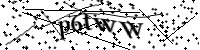 Por favor digite as letras e números abaixo
