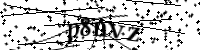 Por favor digite as letras e números abaixo