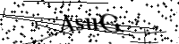 Por favor digite as letras e números abaixo