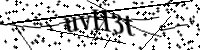 Por favor digite as letras e números abaixo