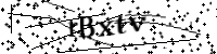 Por favor digite as letras e números abaixo