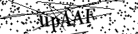 Por favor digite as letras e números abaixo