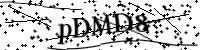 Por favor digite as letras e números abaixo