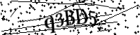 Por favor digite as letras e números abaixo