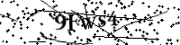 Por favor digite as letras e números abaixo