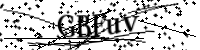 Por favor digite as letras e números abaixo