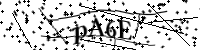Por favor digite as letras e números abaixo