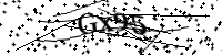 Por favor digite as letras e números abaixo
