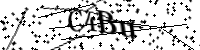 Por favor digite as letras e números abaixo