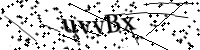 Por favor digite as letras e números abaixo