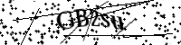 Por favor digite as letras e números abaixo