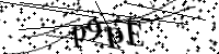 Por favor digite as letras e números abaixo