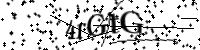Por favor digite as letras e números abaixo