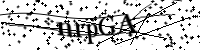Por favor digite as letras e números abaixo