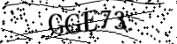 Por favor digite as letras e números abaixo