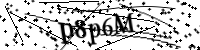 Por favor digite as letras e números abaixo