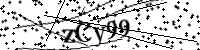Por favor digite as letras e números abaixo