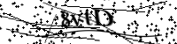 Por favor digite as letras e números abaixo