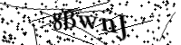 Por favor digite as letras e números abaixo