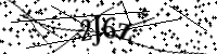 Por favor digite as letras e números abaixo