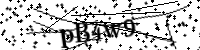 Por favor digite as letras e números abaixo