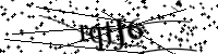 Por favor digite as letras e números abaixo