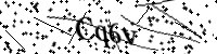 Por favor digite as letras e números abaixo