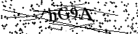 Por favor digite as letras e números abaixo